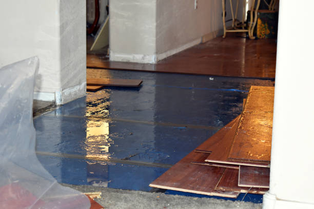 Professional Burst Pipe Cleanup technician working in Columbia Station, OH